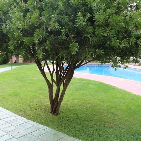 Planta Baja Acceso Directo Piscina Apartment Calafat
